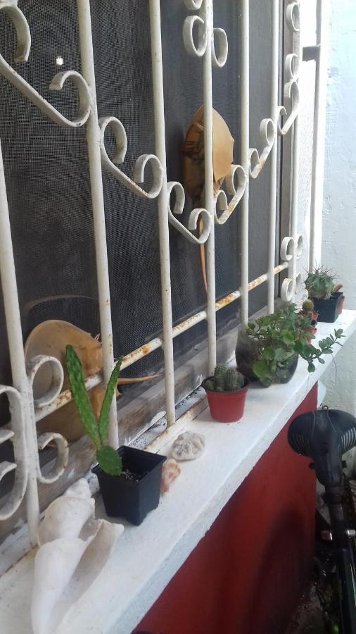 El Depa De Doña Lucha