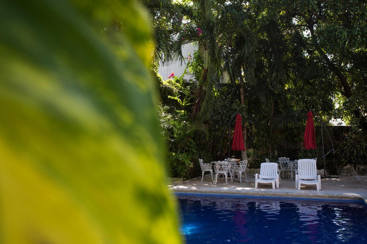Xbalamqué&spa Centro Cancún