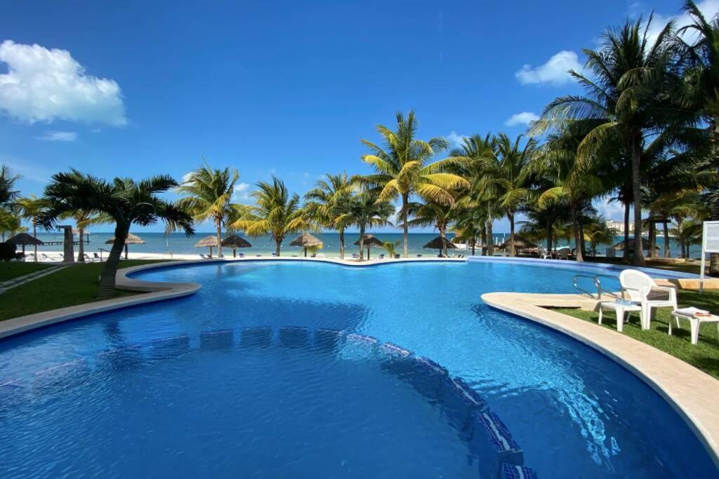Oceanfront Bm By Andiani Cancún