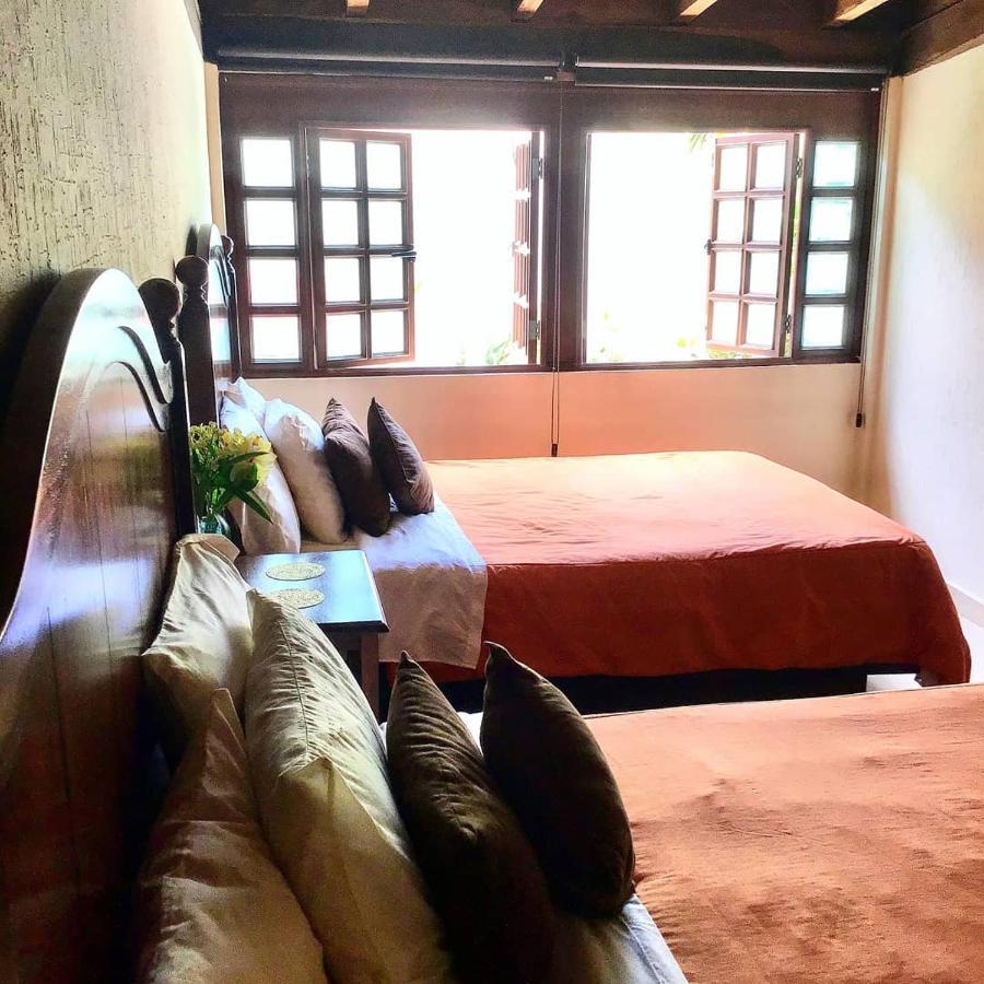 Bed and breakfast Pecarí Cancún