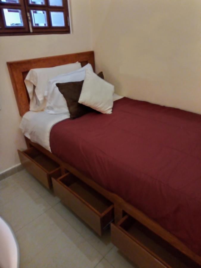 Pecarí Cancún