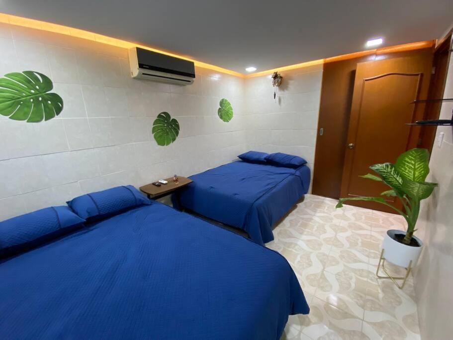 Apartamento Departamento Pina / Mkt-mercado 28 / 3 Recamaras-rooms