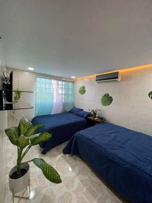 Apartamento Departamento Pina / Mkt-mercado 28 / 3 Recamaras-rooms