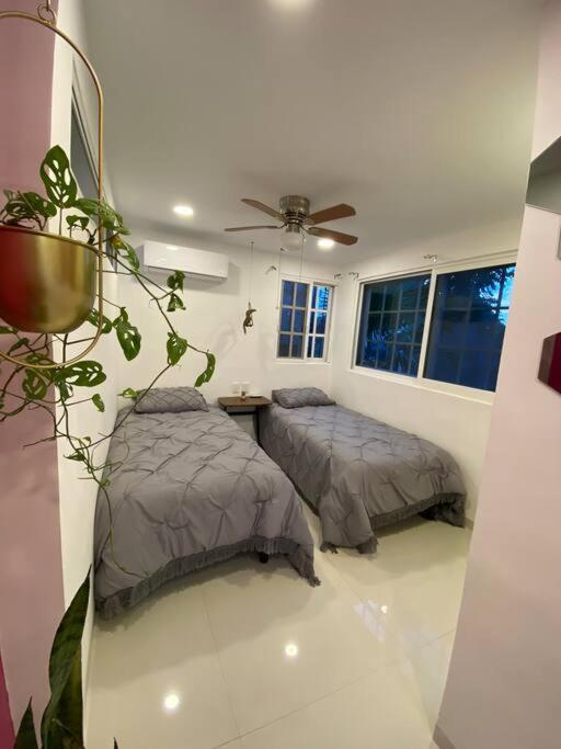 Apartamento Departamento Pina / Mkt-mercado 28 / 3 Recamaras-rooms Cancún