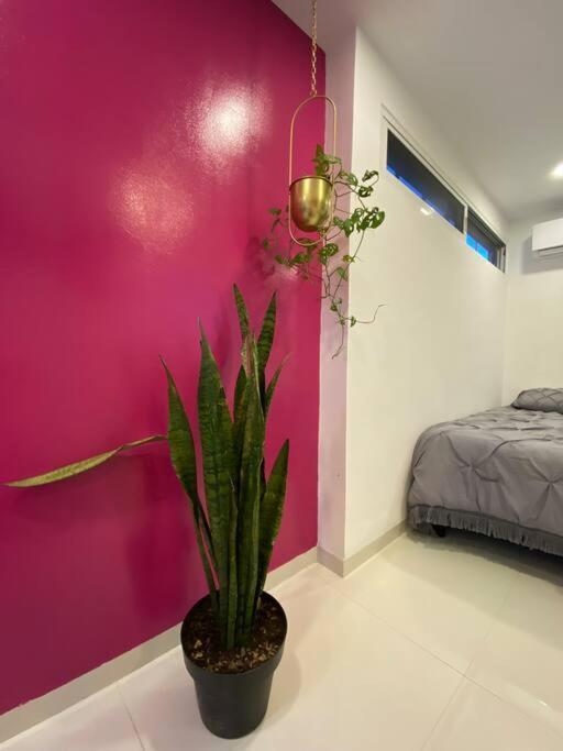 Departamento Pina / Mkt-mercado 28 / 3 Recamaras-rooms Apartamento *