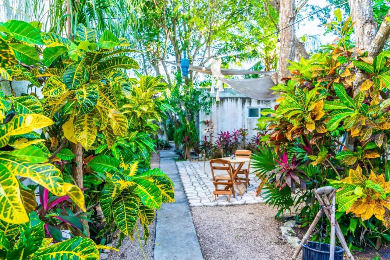 Pensión Casa Borush By Ecoplaneta Cancún