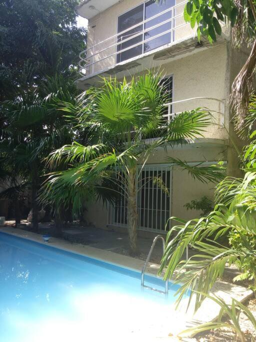 Departamento Blue 2 Recamaras Céntrico En Apartamento *