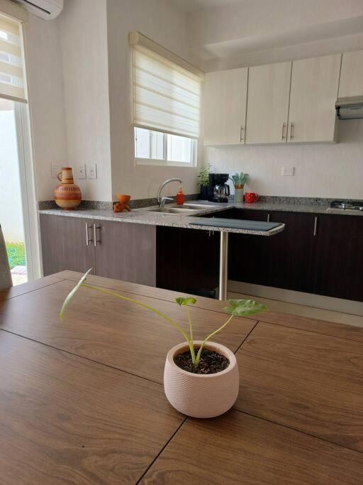 Casita Rooftop Apartment