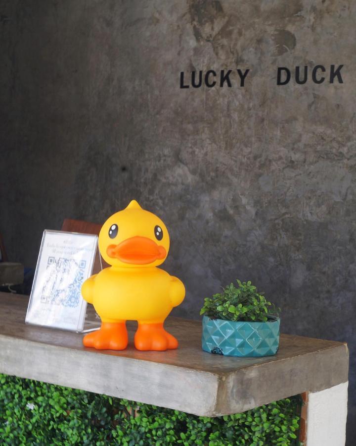 Lucky Duck Pj Hotel Cancun