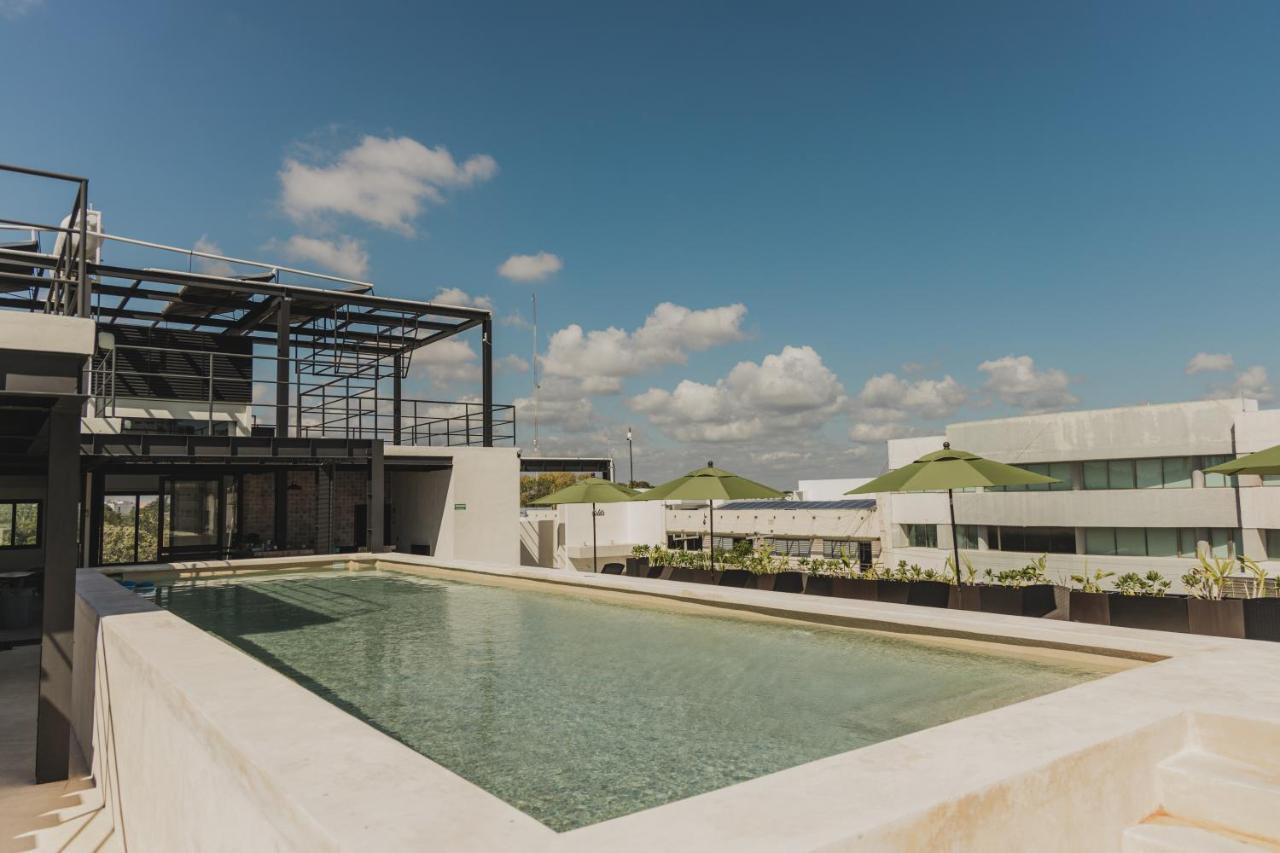 Hostal Caleta Rooftop & Pool *