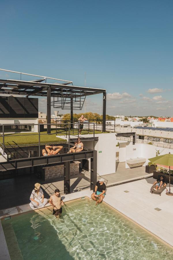 Caleta Rooftop & Pool Hostal