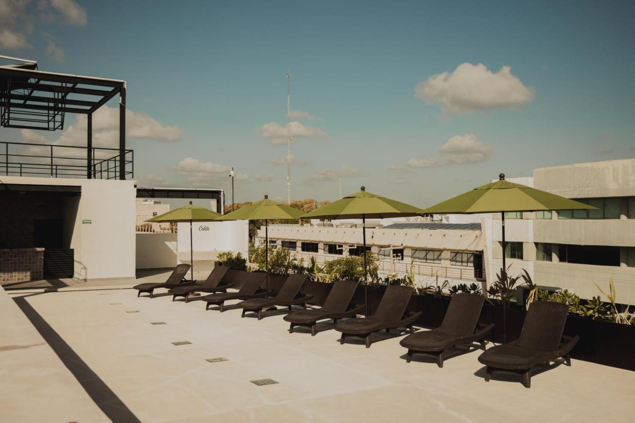 Caleta Rooftop & Pool Hostal