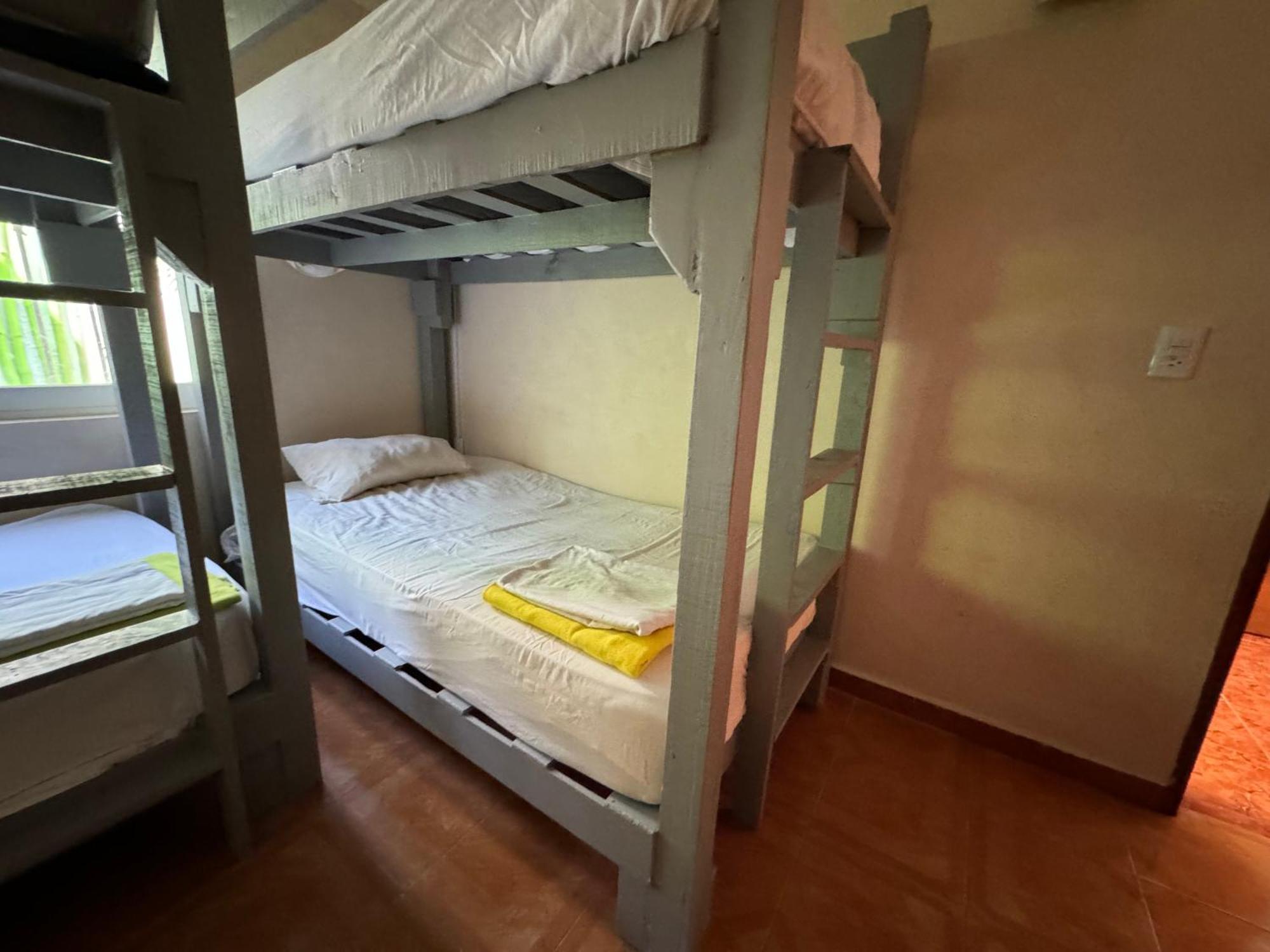 Pecari 26 Homestay