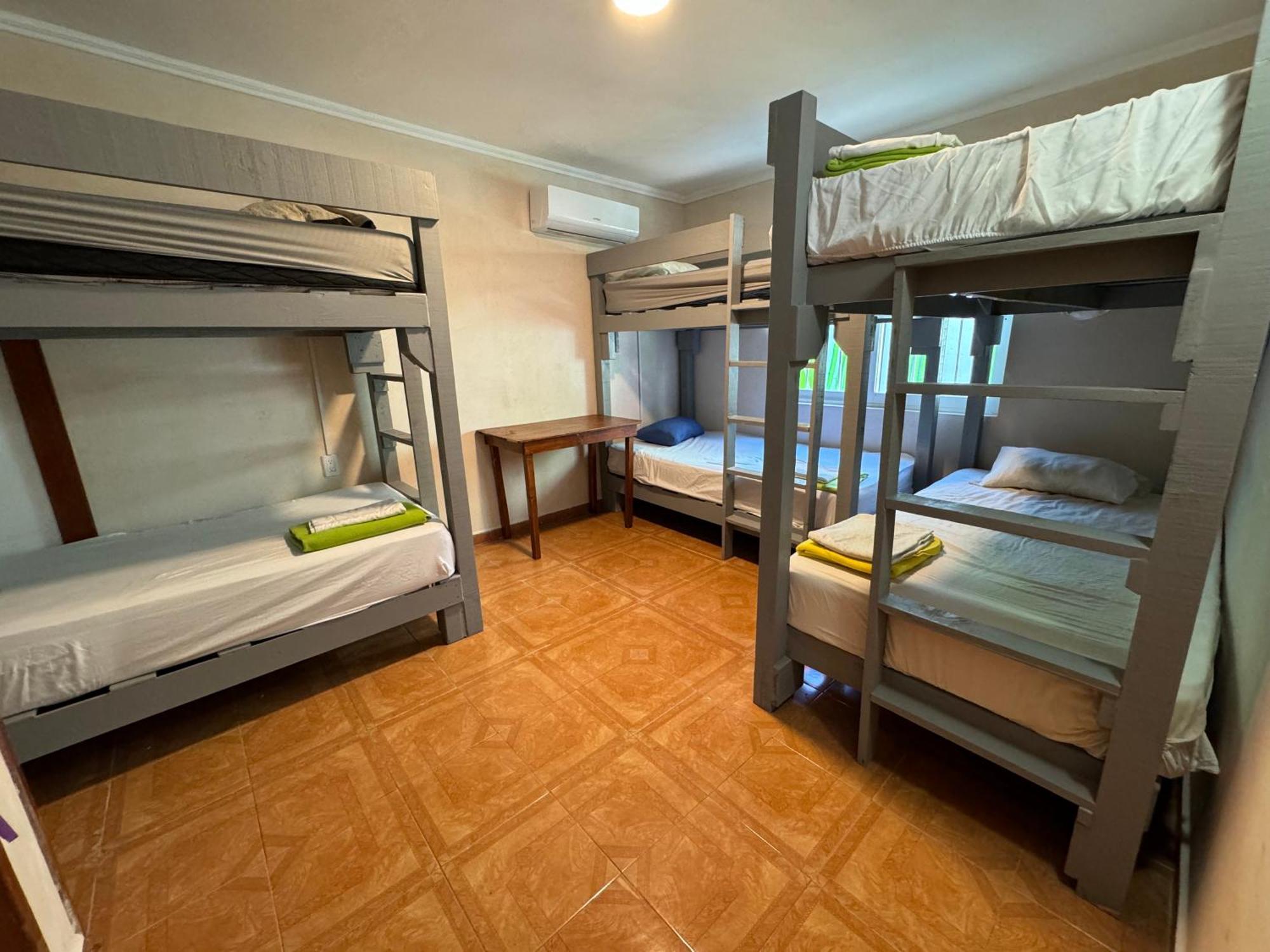 Pecari 26 Cancun