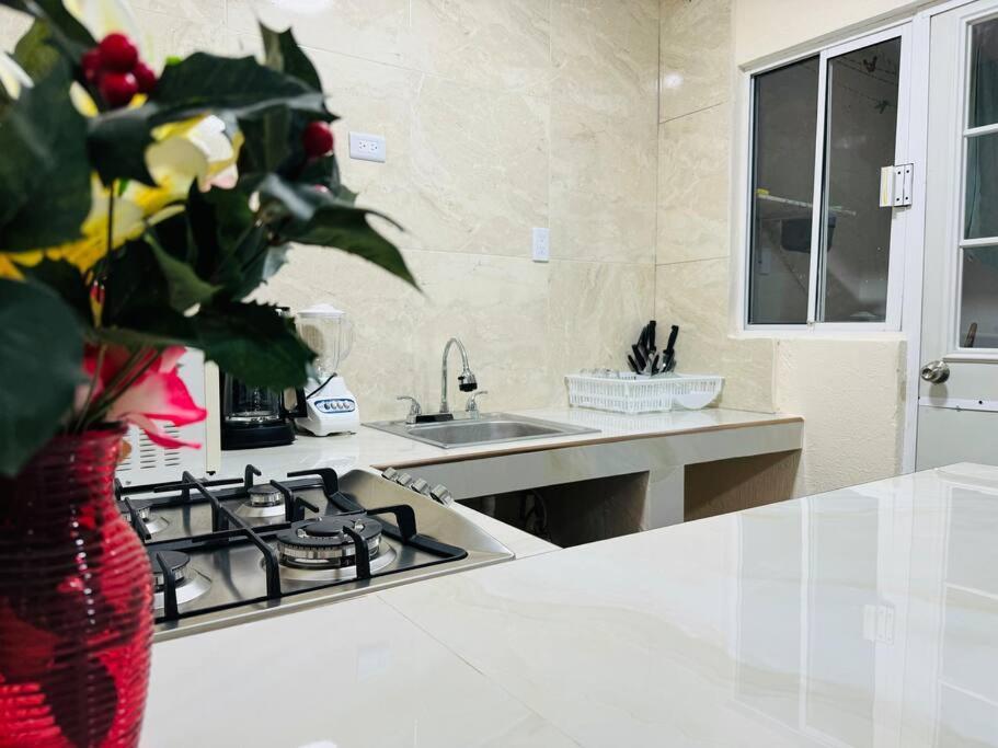 Depa Con Alberca En Zona Privada *