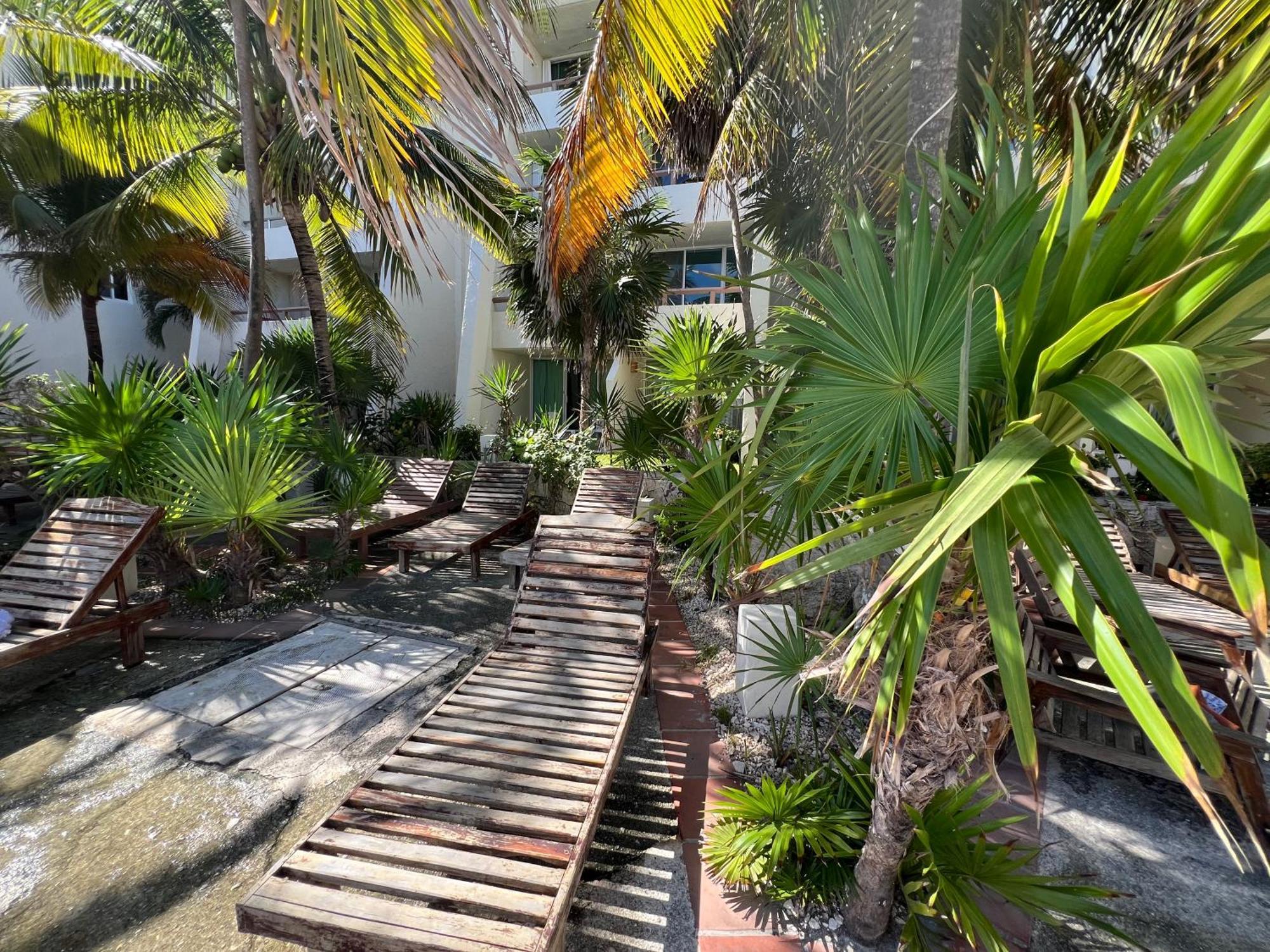 Solymar Studio Apt Beachfront With Sunset Views Apartamento *