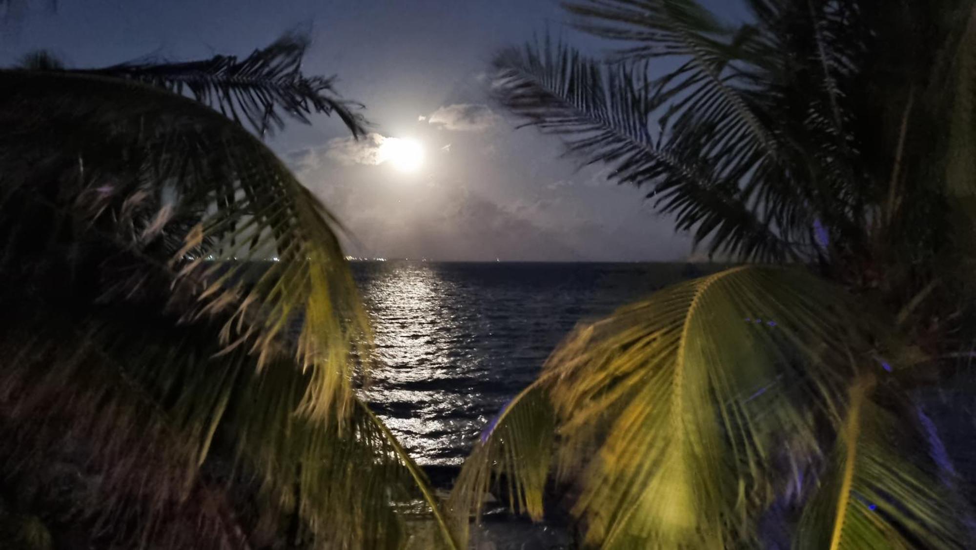 On The - Seaside Sunrise Haven 3 Bedrooms Sea View * Cancun