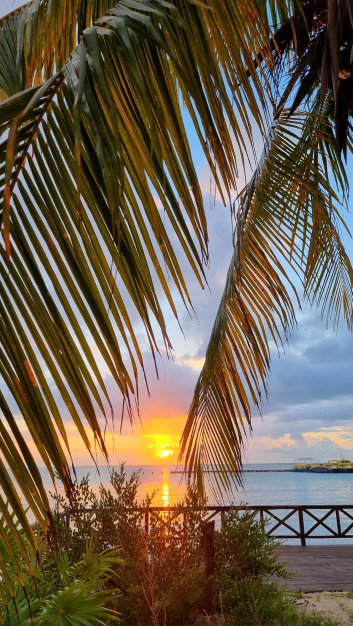On The - Seaside Sunrise Haven 3 Bedrooms Sea View Apartment