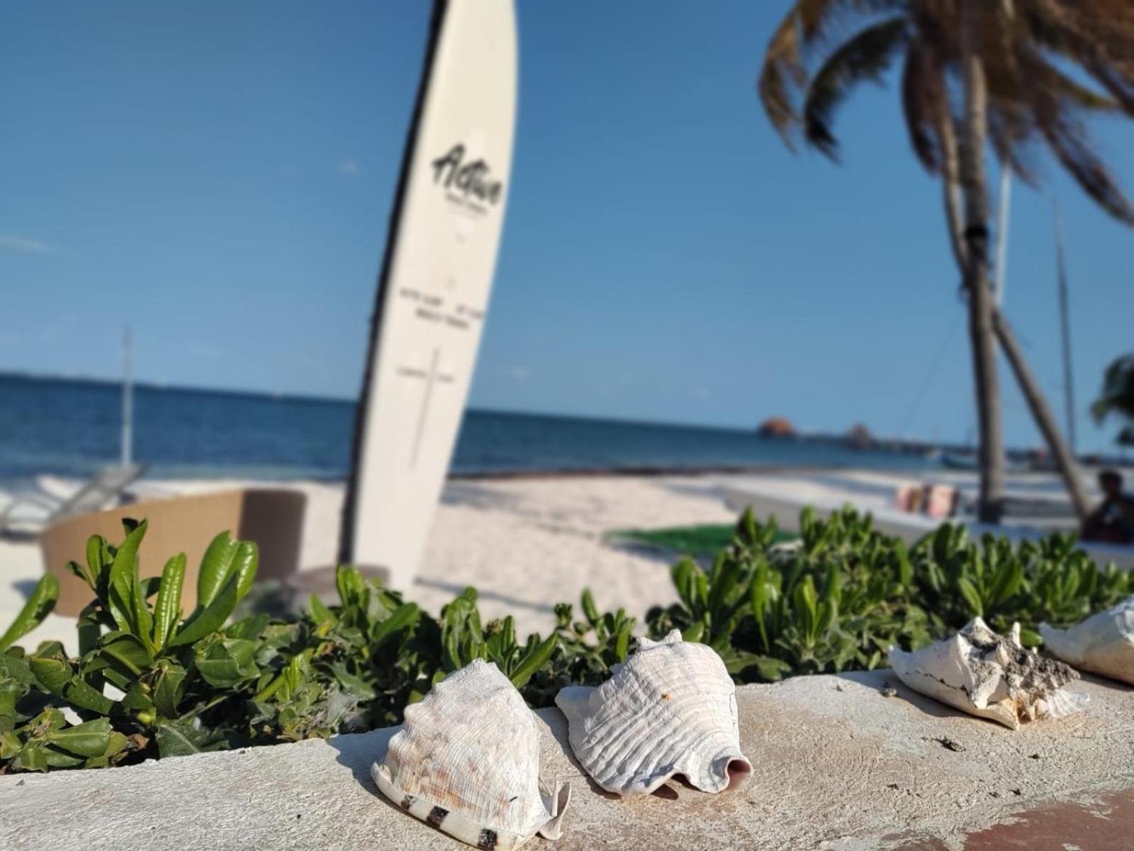 Сasa de vacaciones Surfers Sunrise Haven *
