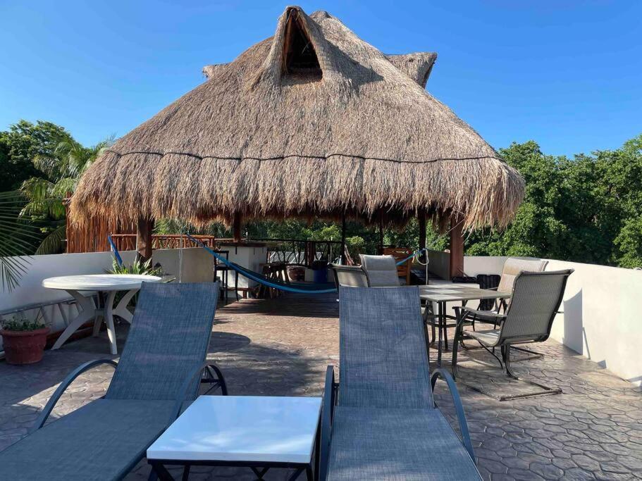 La Palapa Downtown * Cancún