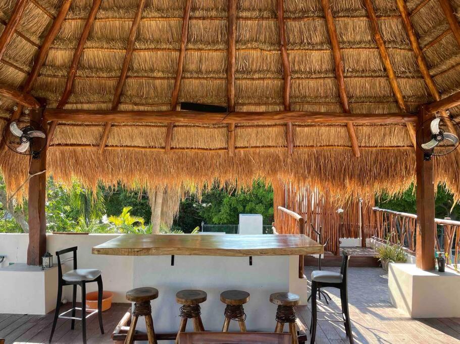 La Palapa Downtown