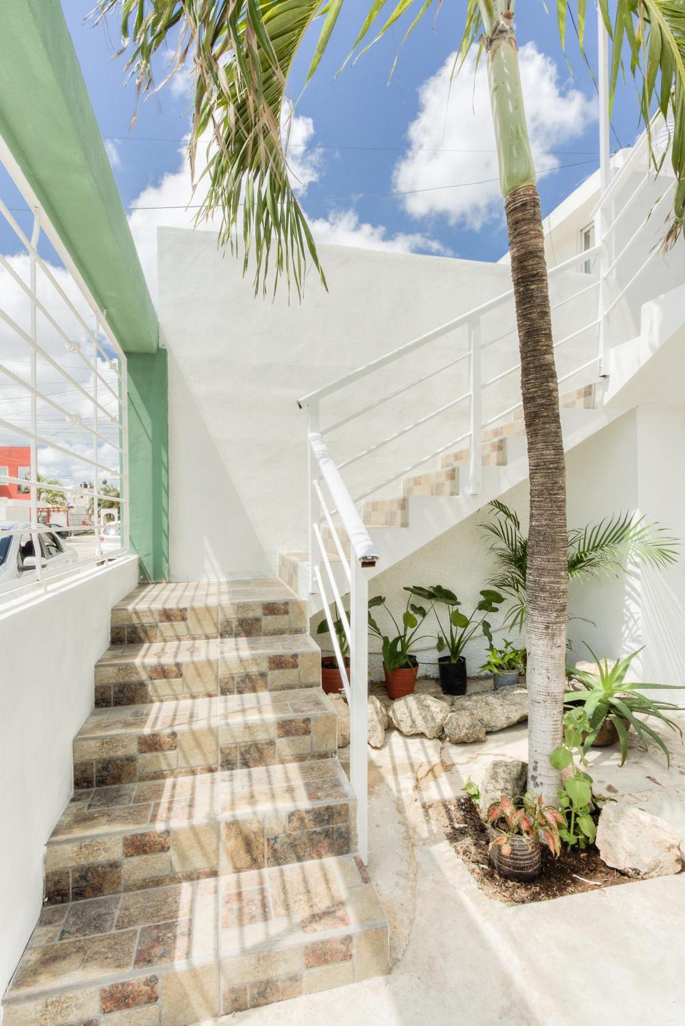 Dream Balcon Colibri