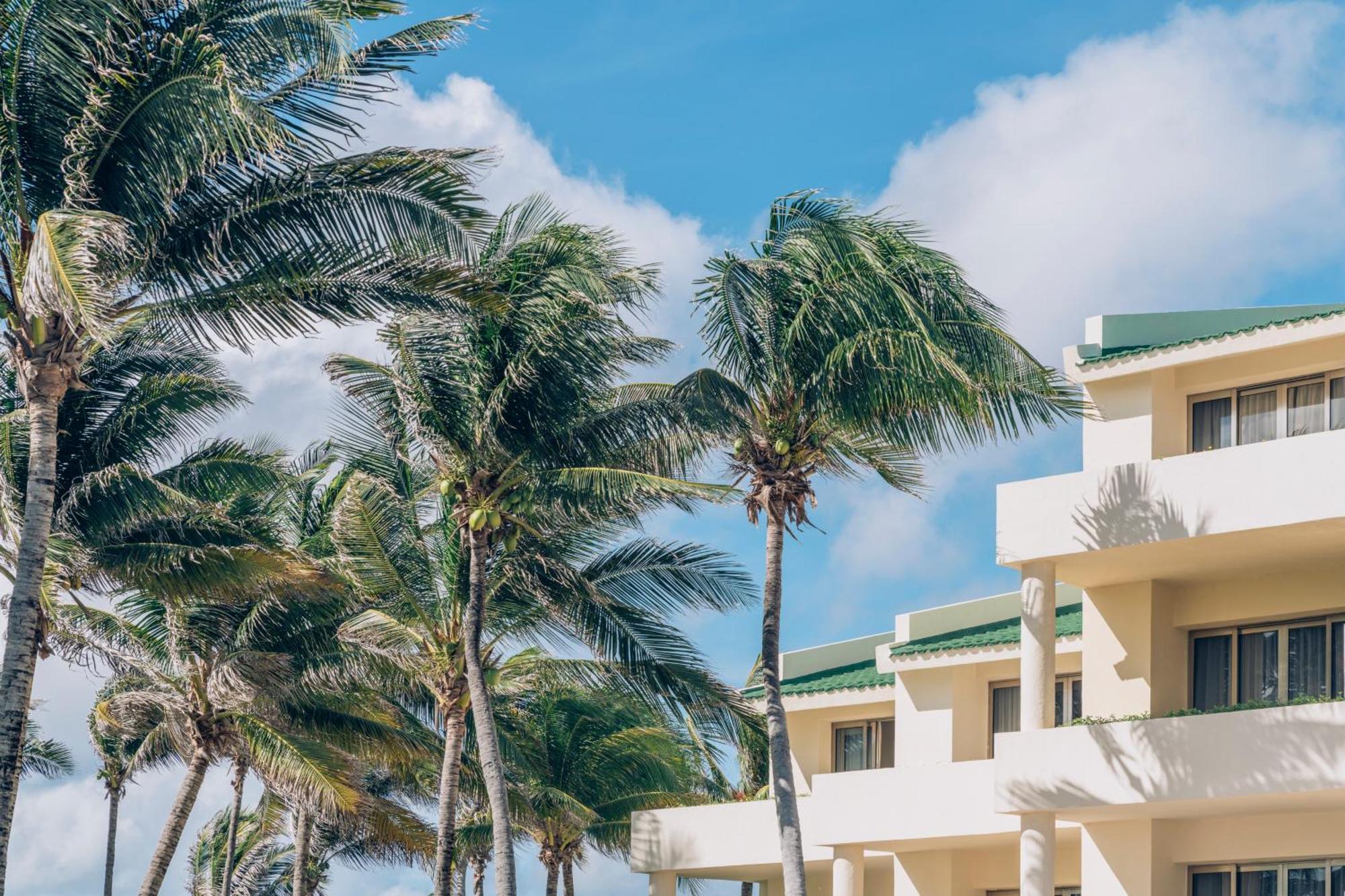 Iberostar Selection (adults Only) Cancún