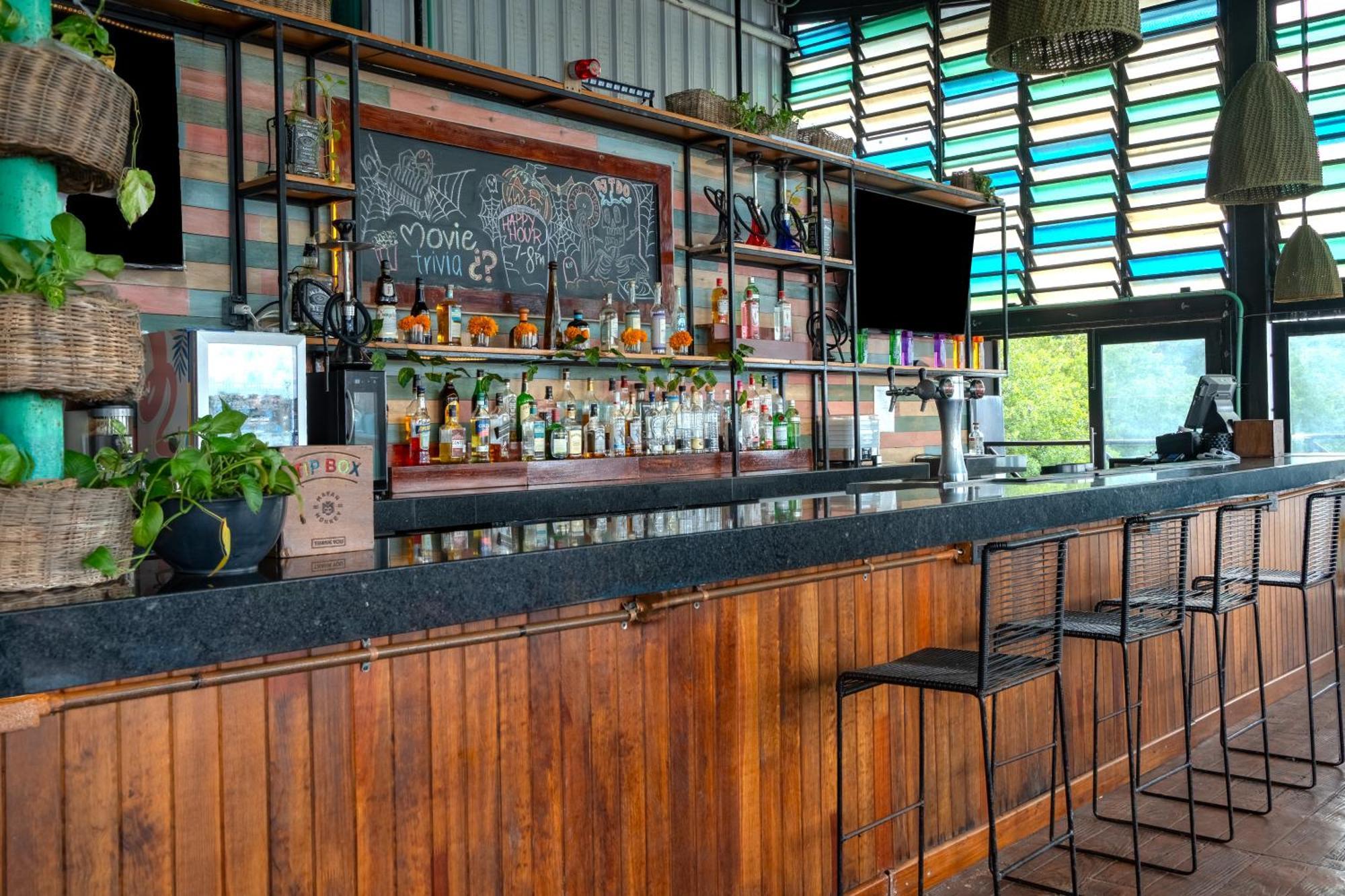 Mayan Monkey - Social (adults Only) Cancún