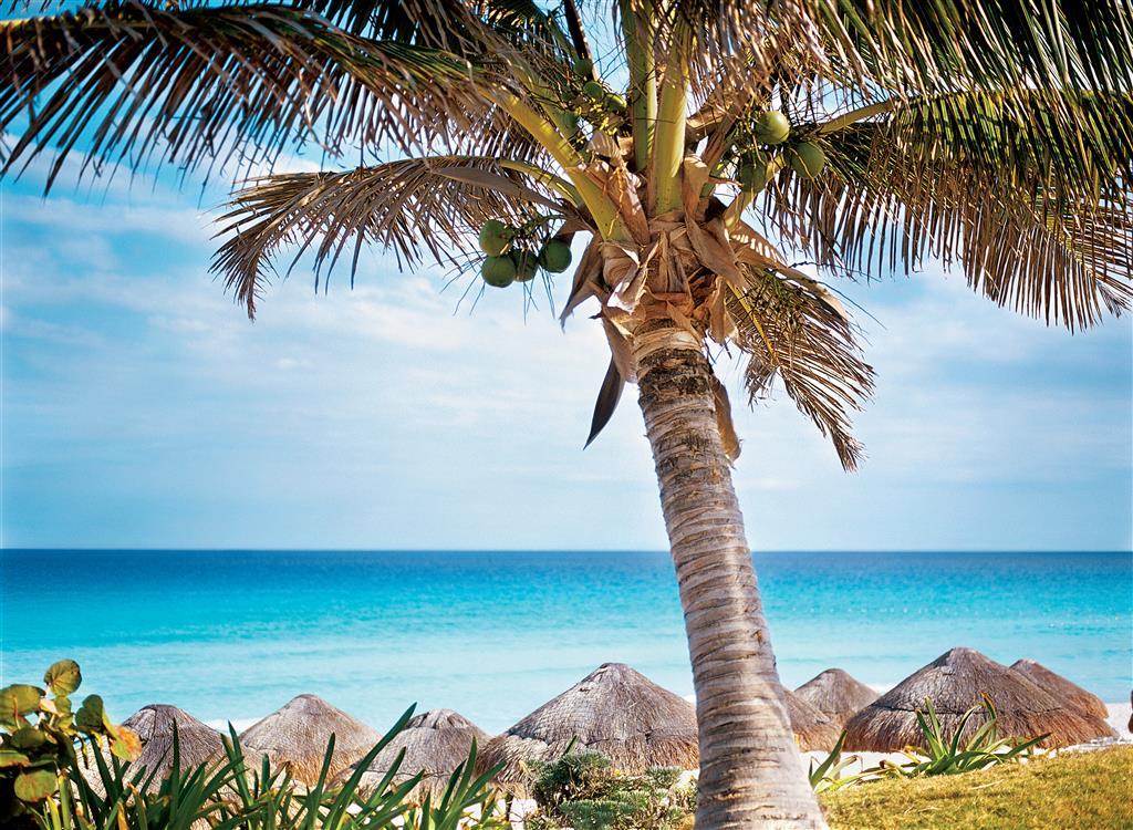 The Westin Lagunamar Ocean Villas&spa Resort 5*