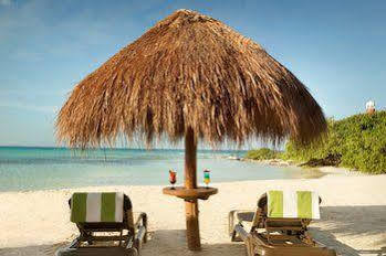 Turquoize At Hyatt Ziva Adults Only 5*