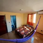 Venado 28