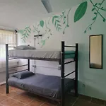 Venado-Ocho