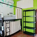 Venado-Ocho