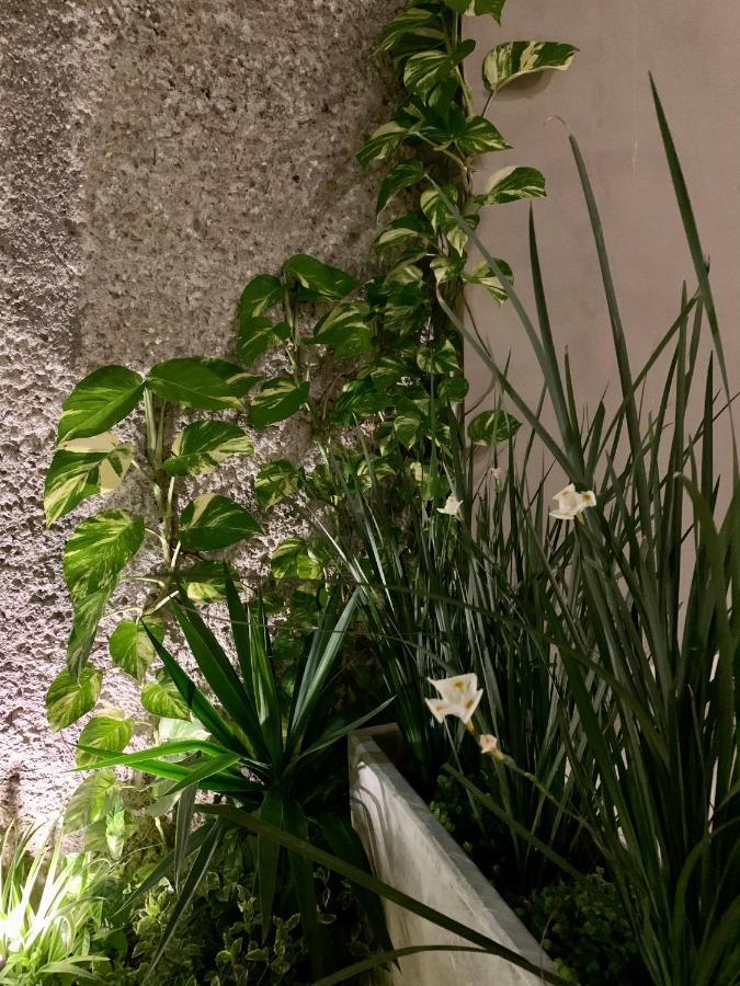 Palmas Guest house Cancun