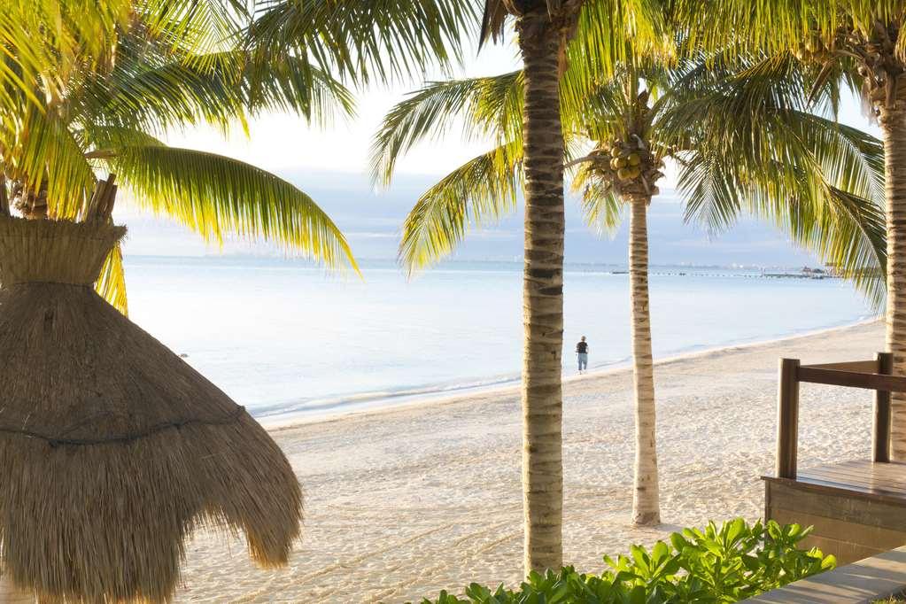 Del Palmar And