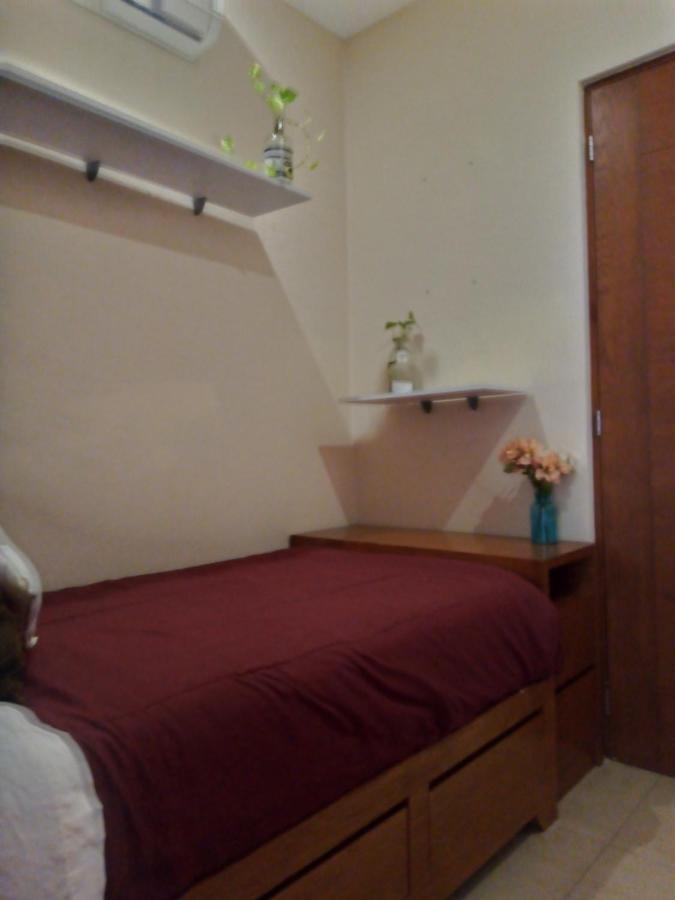 Bed and breakfast Pecarí Cancún