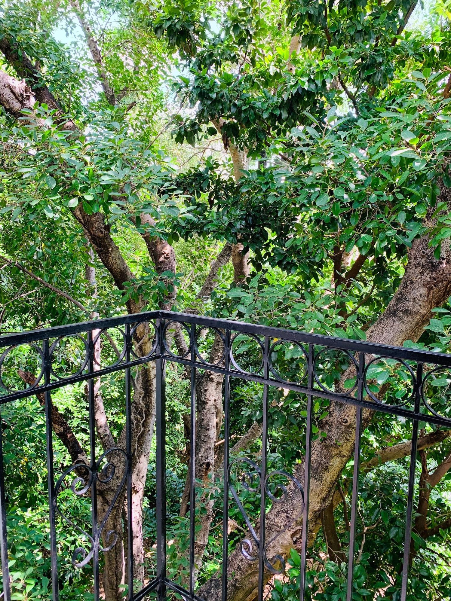 Antilope Bed and breakfast Cancún
