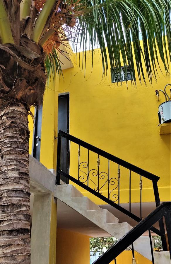 Apartamento Depto En Planta Alta Con Balcón Y árboles Frutales Cancún