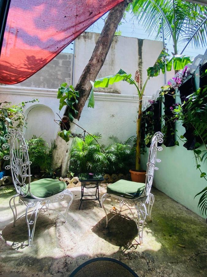 Bed and breakfast The Quetzal