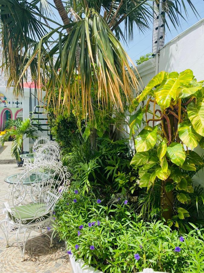 The Quetzal Bed and breakfast