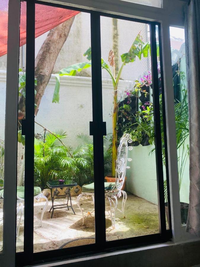 The Quetzal Cancún