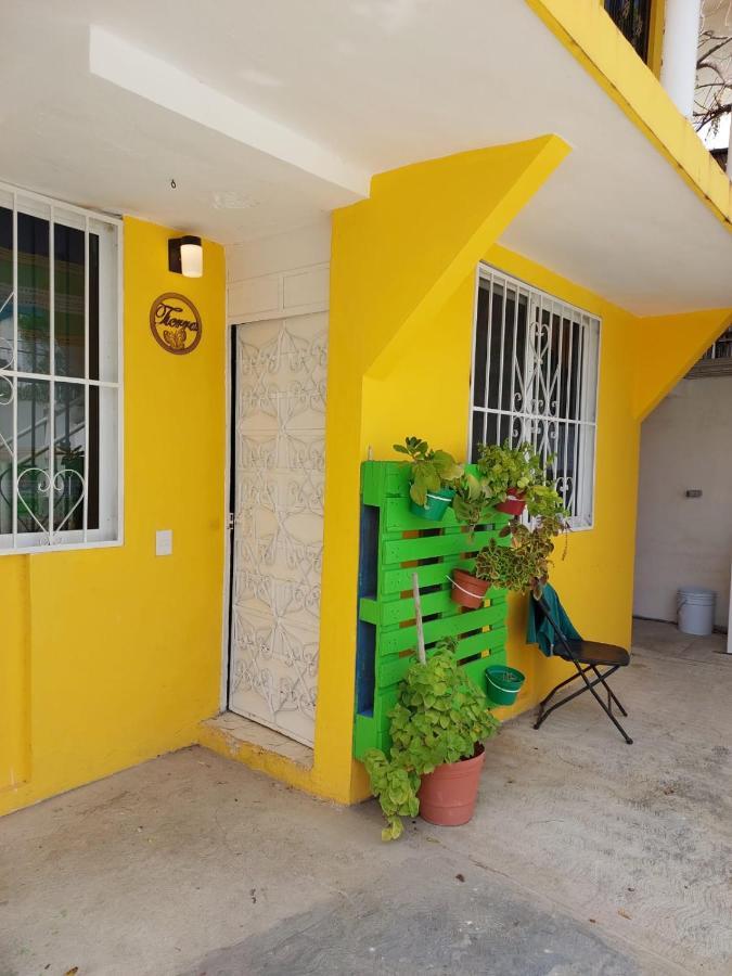 Casa Cuatro Elementos Tierra *