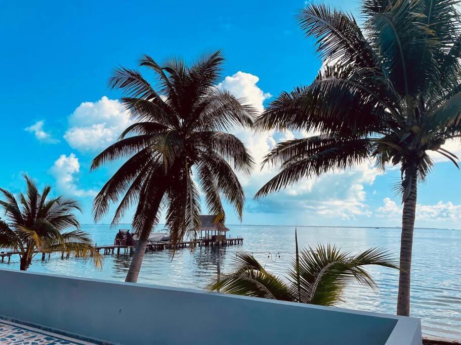 Punta Me With Sea View & * Cancún