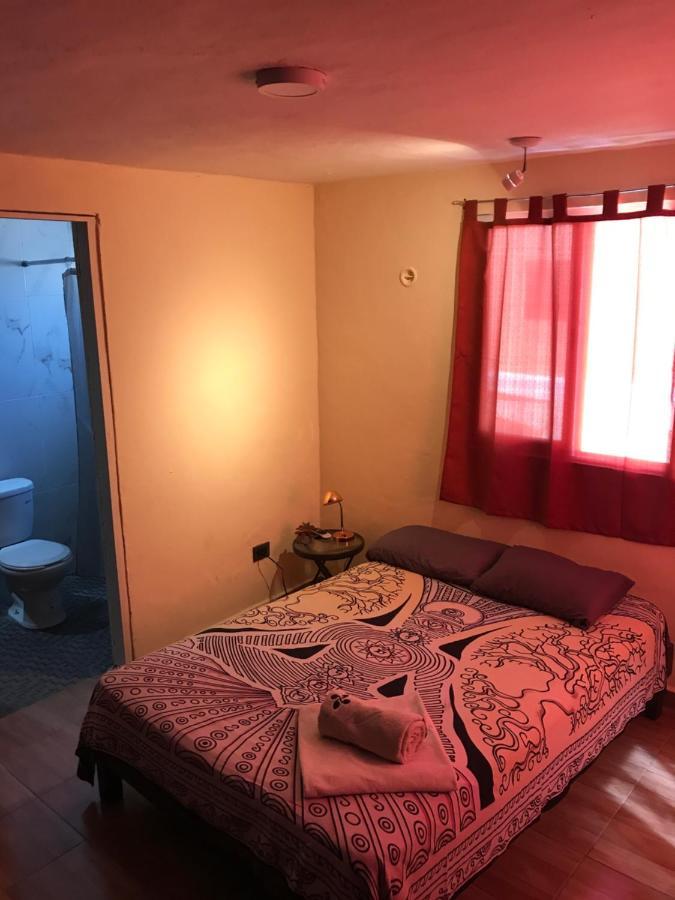 Hostel Venado 28