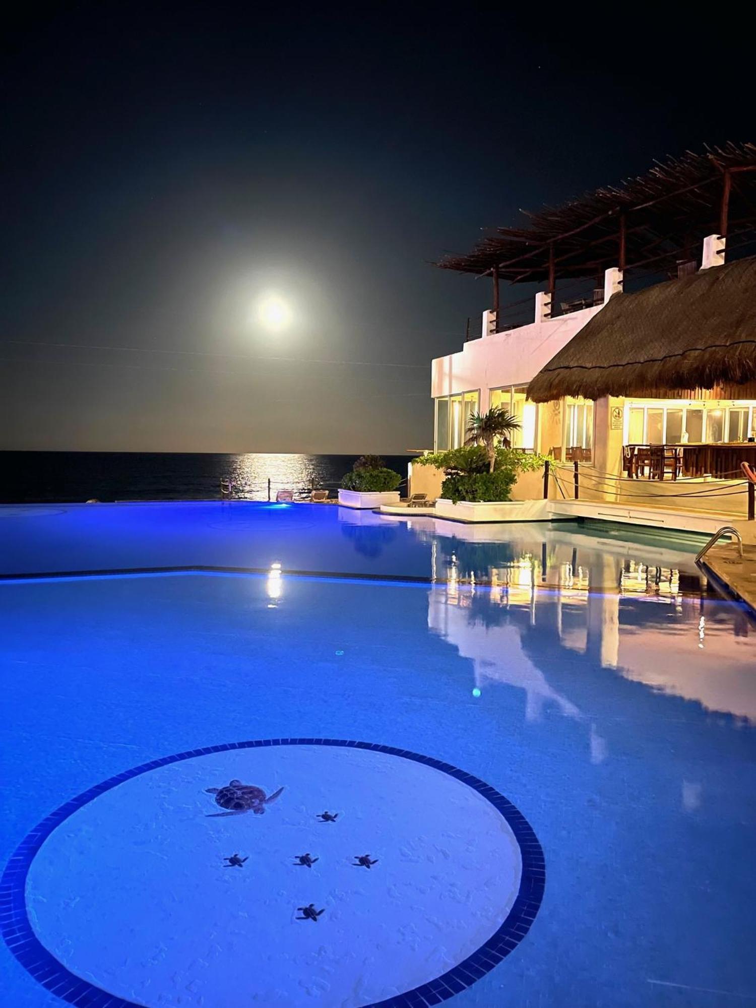 Beachside Apartamento *