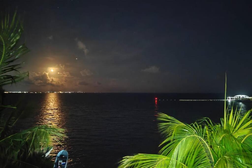 Yyy * Cancún