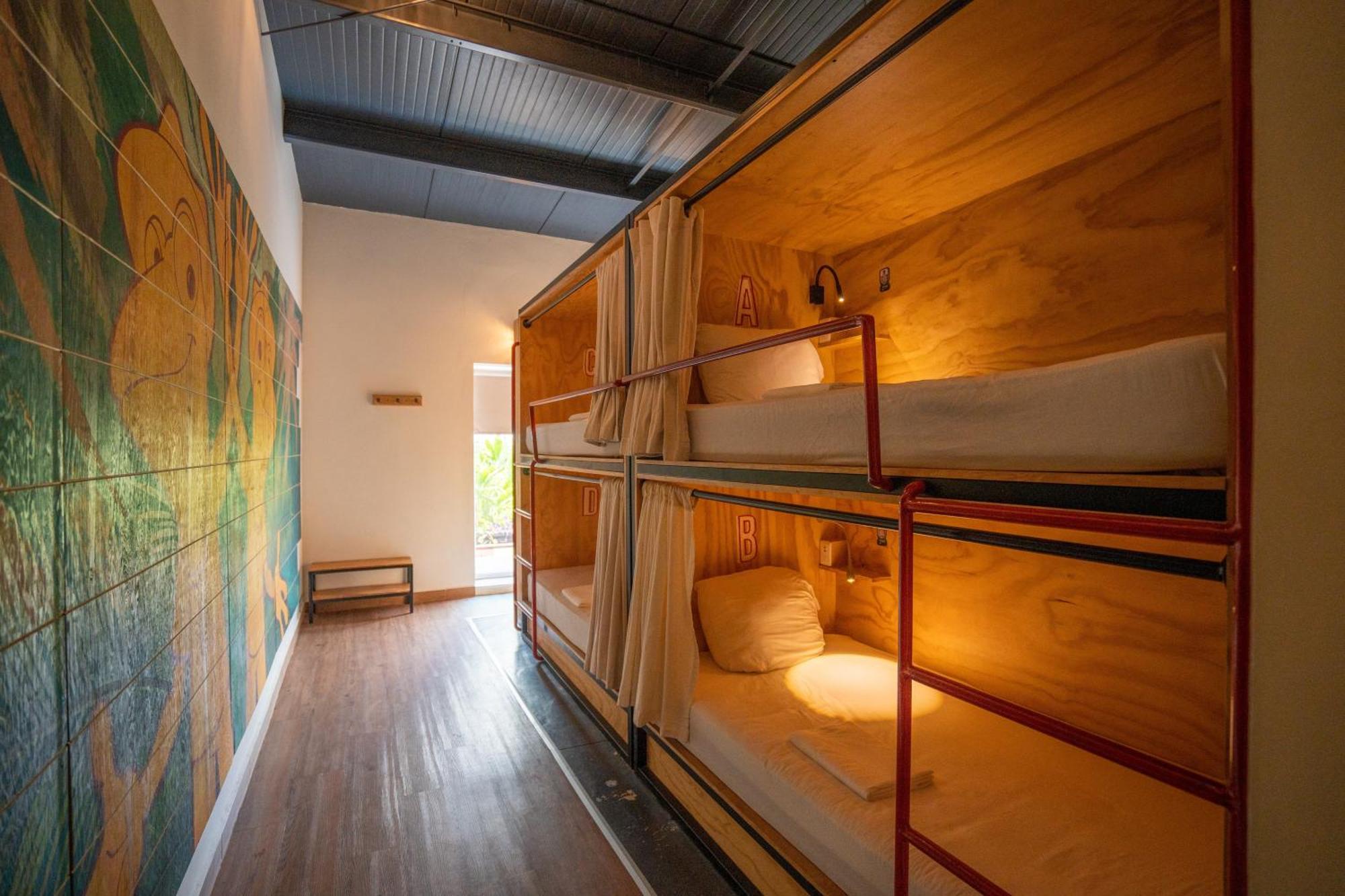 Mayan Monkey - Social (adults Only) * Cancún