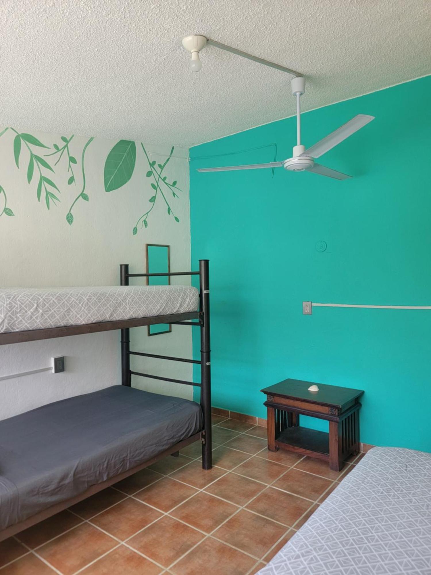 Venado-ocho Hostal Cancún