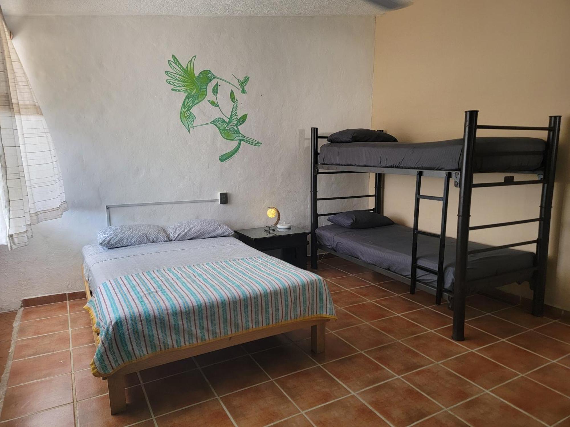 Venado-ocho * Cancún