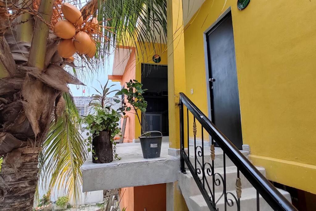 Departamento Rosi Cerca De Juzgado Familiar *